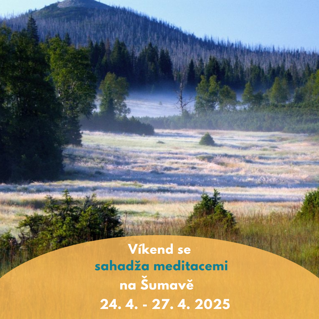 Víkend se sahadža meditacemi na Šumavě